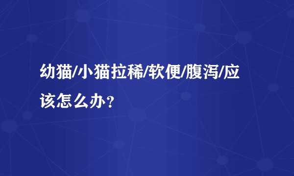 幼猫/小猫拉稀/软便/腹泻/应该怎么办？