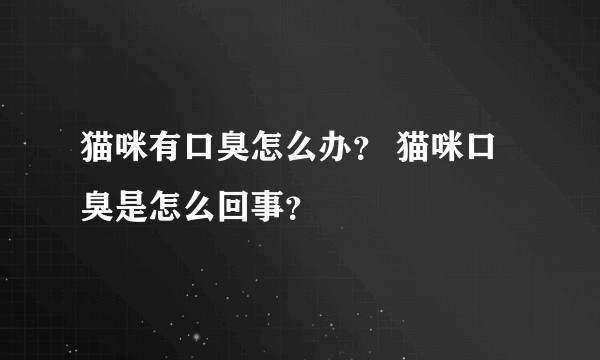 猫咪有口臭怎么办？ 猫咪口臭是怎么回事？