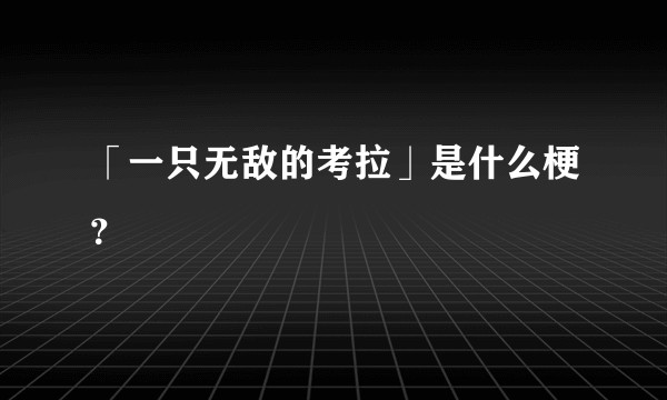「一只无敌的考拉」是什么梗？