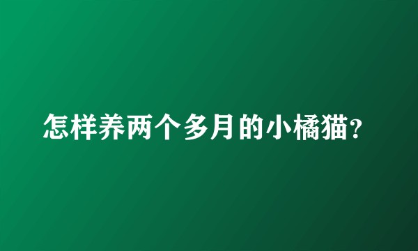 怎样养两个多月的小橘猫？