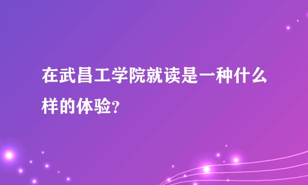 在武昌工学院就读是一种什么样的体验？