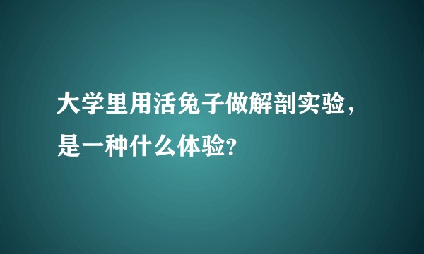 大学里用活兔子做解剖实验，是一种什么体验？