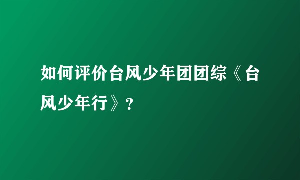 如何评价台风少年团团综《台风少年行》？