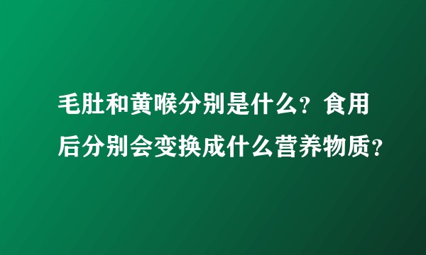 毛肚和黄喉分别是什么？食用后分别会变换成什么营养物质？
