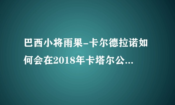 巴西小将雨果-卡尔德拉诺如何会在2018年卡塔尔公开赛大放异彩，4:0林高远，张本智和，4:1波尔？