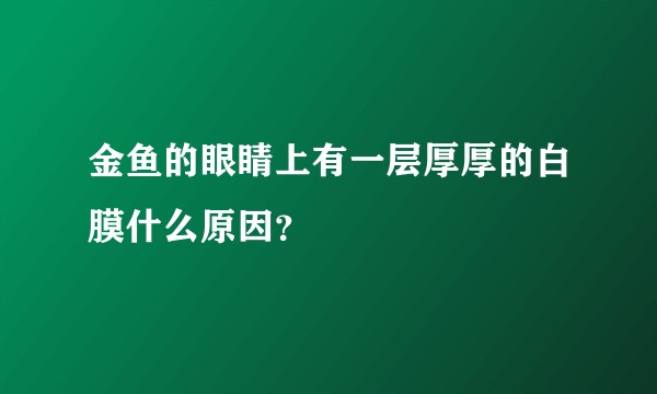 金鱼的眼睛上有一层厚厚的白膜什么原因？