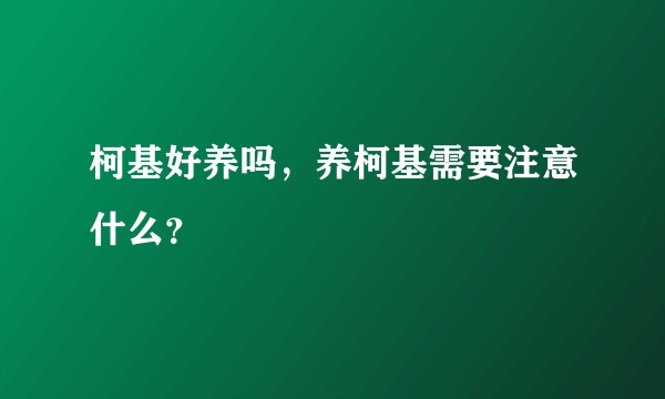 柯基好养吗，养柯基需要注意什么？