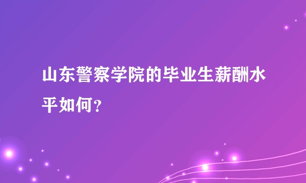 山东警察学院的毕业生薪酬水平如何？