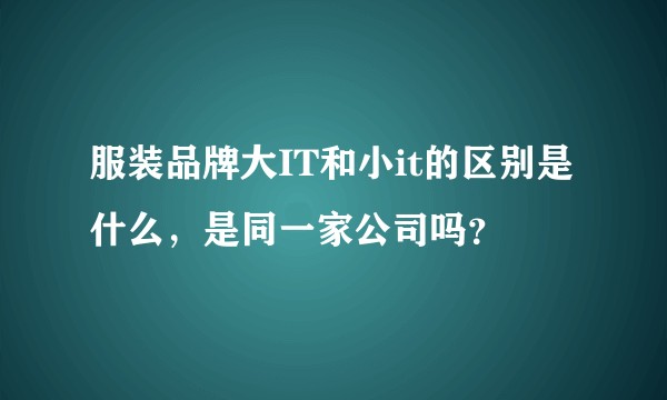服装品牌大IT和小it的区别是什么，是同一家公司吗？