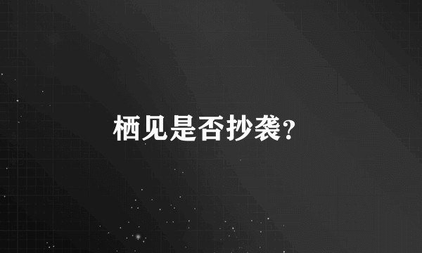 栖见是否抄袭？