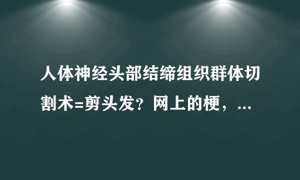 人体神经头部结缔组织群体切割术=剪头发？网上的梗，问一下人体头部结缔组织包括哪些？要切多少？