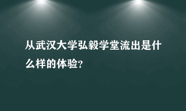 从武汉大学弘毅学堂流出是什么样的体验？