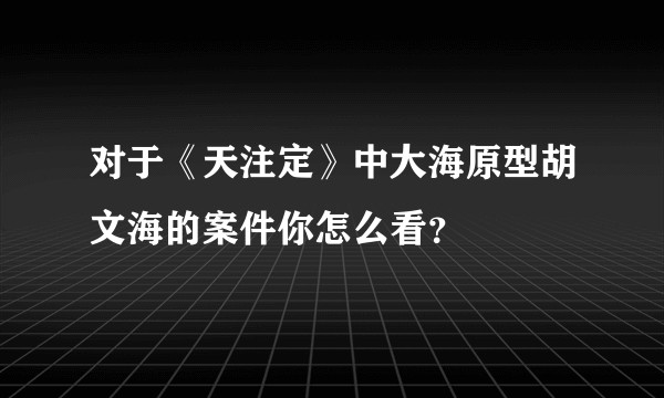 对于《天注定》中大海原型胡文海的案件你怎么看？