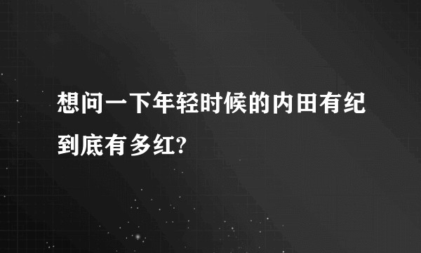 想问一下年轻时候的内田有纪到底有多红?