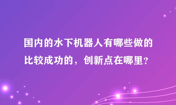 国内的水下机器人有哪些做的比较成功的，创新点在哪里？