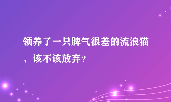 领养了一只脾气很差的流浪猫，该不该放弃？