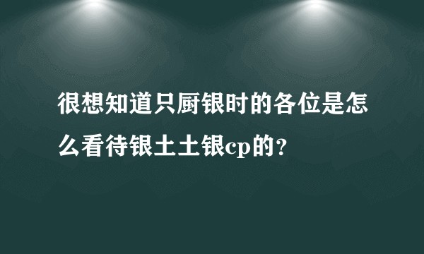 很想知道只厨银时的各位是怎么看待银土土银cp的？
