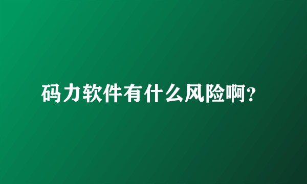码力软件有什么风险啊？