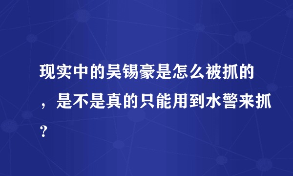 现实中的吴锡豪是怎么被抓的，是不是真的只能用到水警来抓？