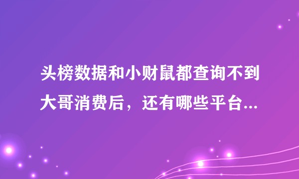 头榜数据和小财鼠都查询不到大哥消费后，还有哪些平台可以查询到？
