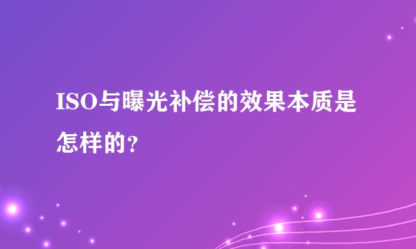 ISO与曝光补偿的效果本质是怎样的?