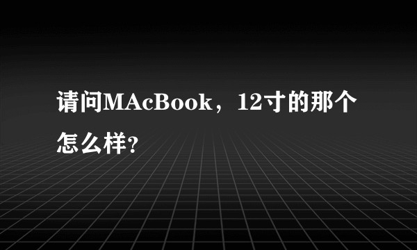 请问MAcBook，12寸的那个怎么样？