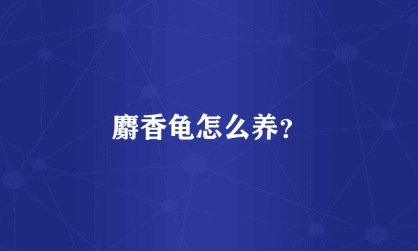 麝香龟怎么养？