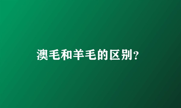澳毛和羊毛的区别？