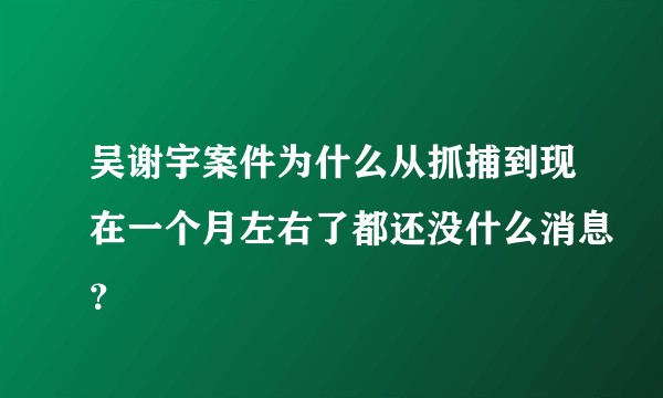 吴谢宇案件为什么从抓捕到现在一个月左右了都还没什么消息?