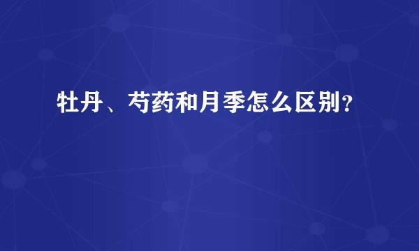 牡丹、芍药和月季怎么区别？
