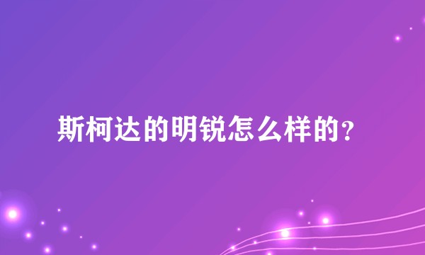 斯柯达的明锐怎么样的？