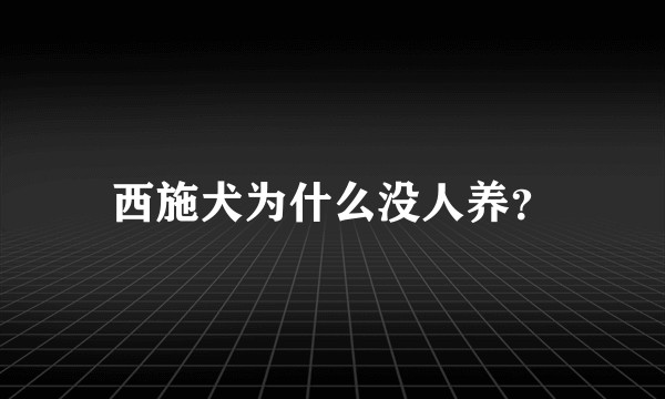 西施犬为什么没人养？
