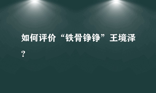 如何评价“铁骨铮铮”王境泽？
