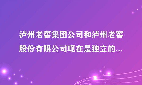 泸州老窖集团公司和泸州老窖股份有限公司现在是独立的两个公司吗？如果是，那泸州老窖集团现在面临什么挑战？
