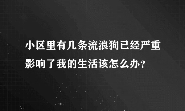 小区里有几条流浪狗已经严重影响了我的生活该怎么办？