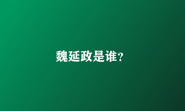 魏延政是谁？