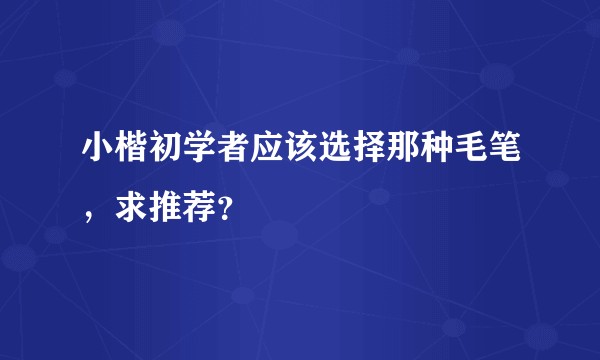 小楷初学者应该选择那种毛笔，求推荐？