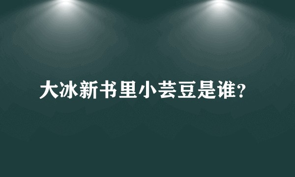 大冰新书里小芸豆是谁?
