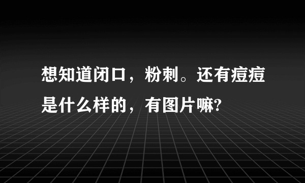 想知道闭口，粉刺。还有痘痘是什么样的，有图片嘛?