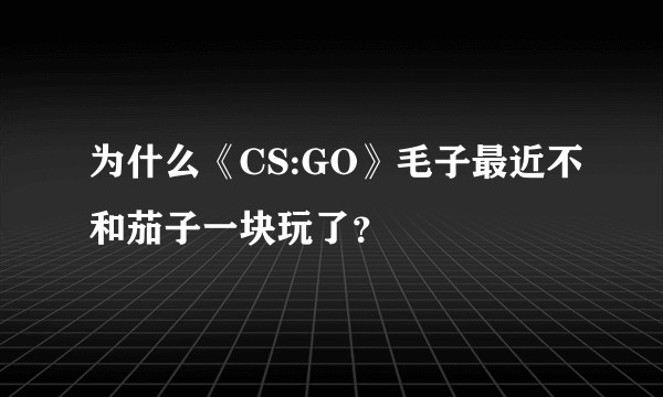 为什么《CS:GO》毛子最近不和茄子一块玩了？