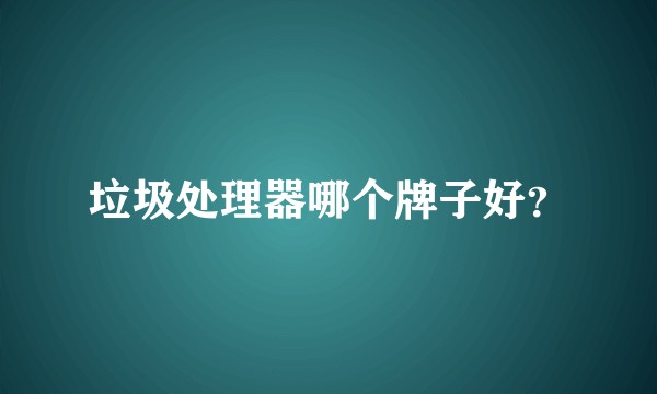 垃圾处理器哪个牌子好？