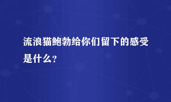 流浪猫鲍勃给你们留下的感受是什么?