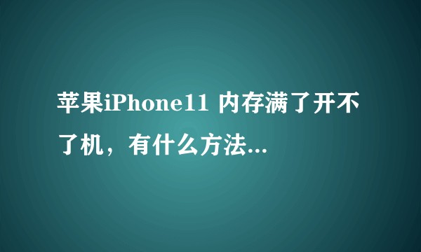 苹果iPhone11 内存满了开不了机,有什么方法能解决吗?(急)?
