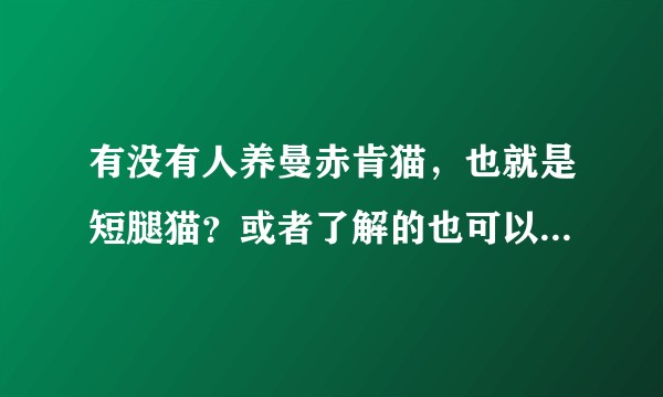 有没有人养曼赤肯猫，也就是短腿猫？或者了解的也可以给我解答下，关于价格，饲养方面。谢谢？