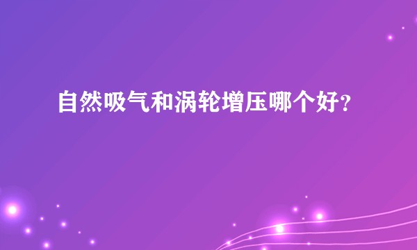 自然吸气和涡轮增压哪个好？