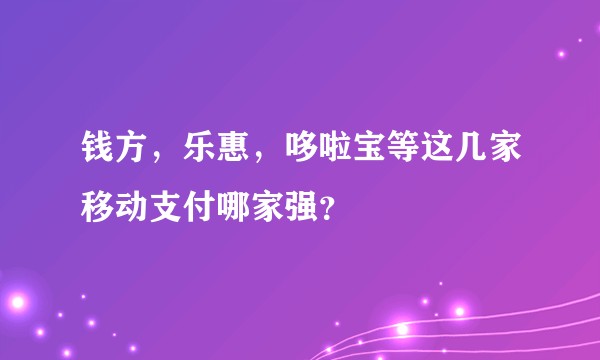 钱方，乐惠，哆啦宝等这几家移动支付哪家强？