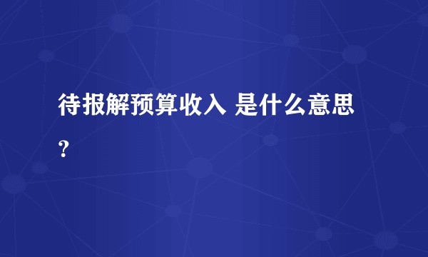 待报解预算收入 是什么意思？