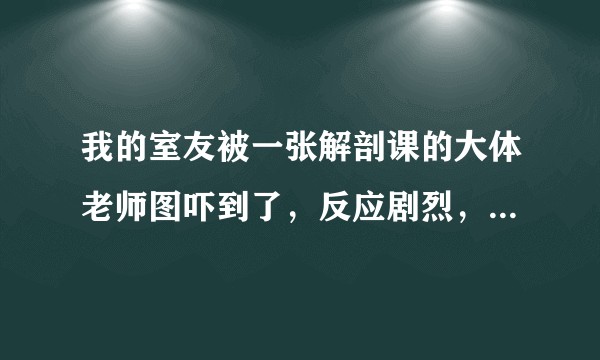 我的室友被一张解剖课的大体老师图吓到了，反应剧烈，为什么？