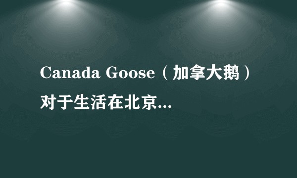 Canada Goose（加拿大鹅）对于生活在北京的人有购买价值么