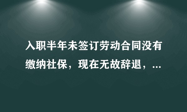 入职半年未签订劳动合同没有缴纳社保，现在无故辞退，可以要求工资怎么赔偿？